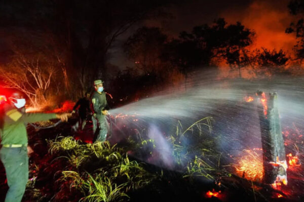 Colombia avanza en control de incendios forestales que afectan a zonas del centro del país