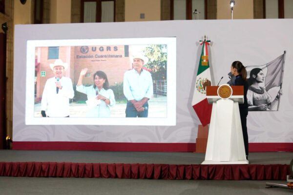 México celebra reapertura de la frontera de EEUU a su ganado y refuerza medidas sanitarias