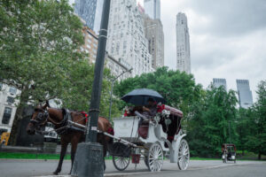 Nueva York decide mañana si veta los carruajes de caballos tras accidente mortal