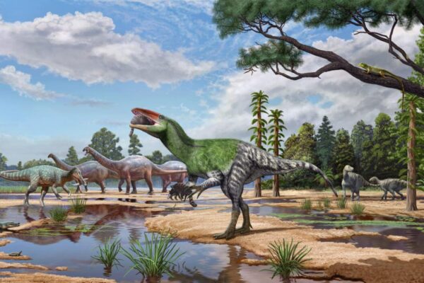Identifican un nuevo dinosaurio a partir de un fósil que estuvo en un cajón 100 años
