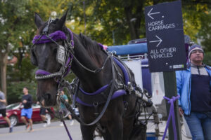 Nueva York aprueba la ley que prohibirá los carruajes tirados por caballos en junio 2028